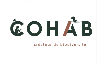 Logo COHAB